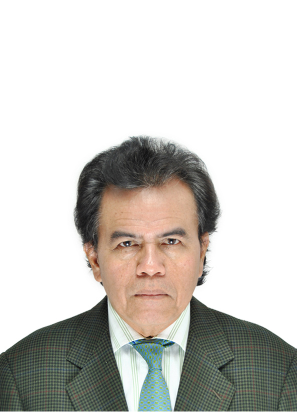 RAHMAD IRWAN, S.H, M.H.